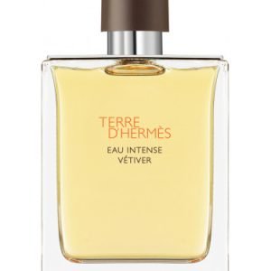 Terre d'Hermès Eau Intense Vétiver