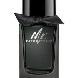Mr. Burberry Eau de Parfum